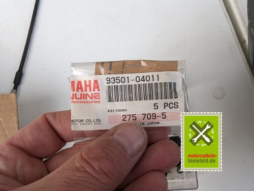PXL_20240528_171157557